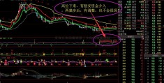 家电以旧换新政策（中邮基金总经理）