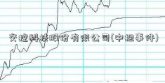 交控科技股份有限公司(中担事件)