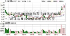 「沪深300股指期货」桐昆股份控股子公司环境违法被罚27万元