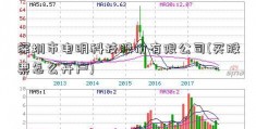 深圳市电明科技股份有限公司(买股票怎么开户)