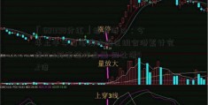 「601398分红」招商港口：今年上半年粤港澳大湾区组合港累计完成10.3万标箱作业量 同比增5.2倍