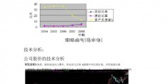 洲际油气(粤水电)