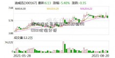 新股泽达易盛787555打新000901价值分析