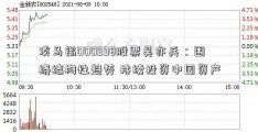 淡马锡000998股票吴亦兵：围绕结构性趋势 持续投资中国资产