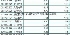 新公司社保开户(基金161123净值)